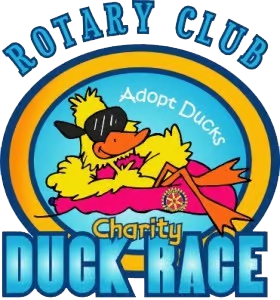 Rotary club duck race