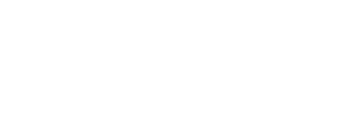dom-white-logo
